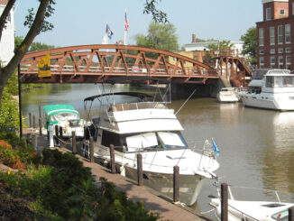 No Losses on the Erie Canal in Fairport, Summer of 2010.